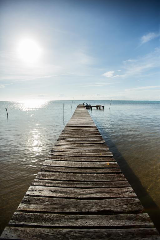 Costa De Cocos Otel Xcalak Dış mekan fotoğraf