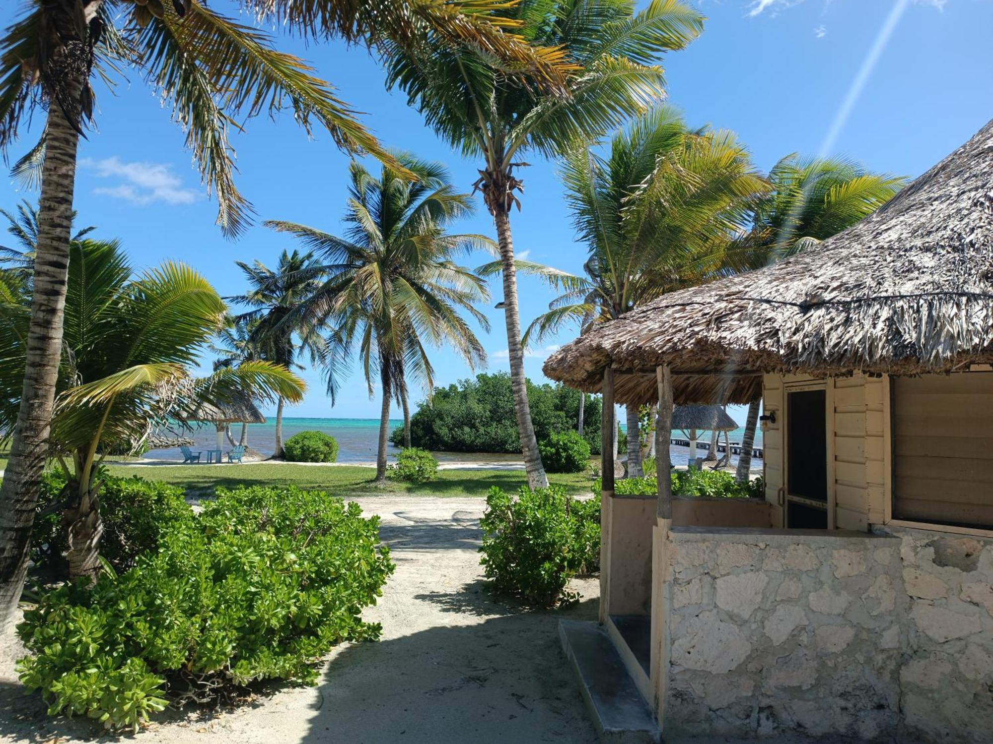 Costa De Cocos Otel Xcalak Dış mekan fotoğraf
