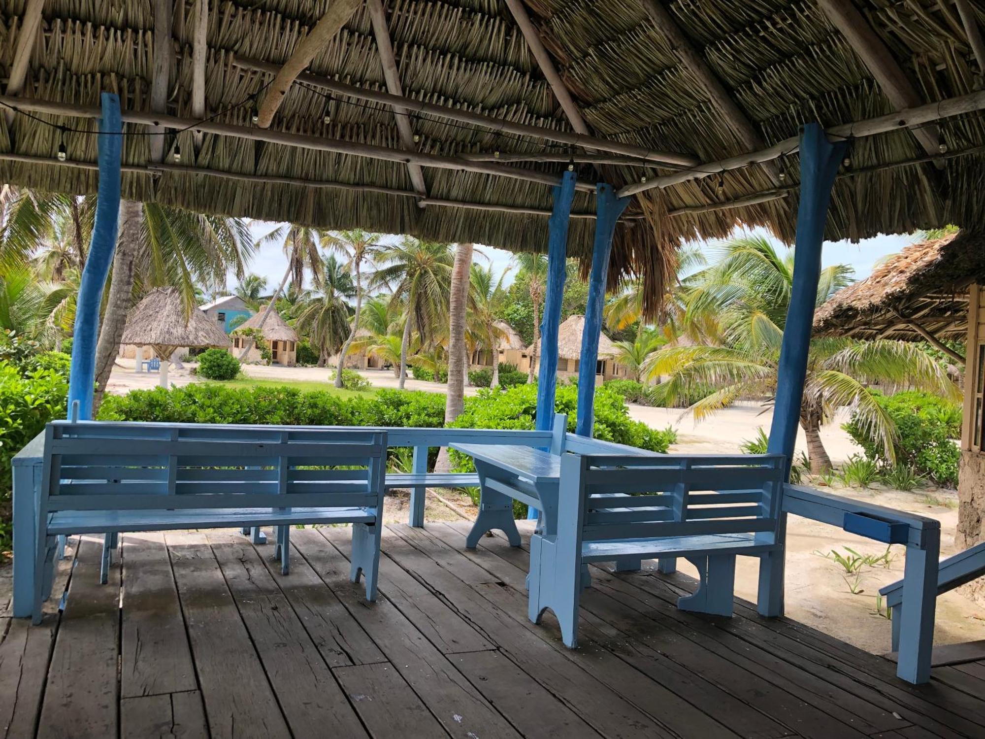 Costa De Cocos Otel Xcalak Dış mekan fotoğraf