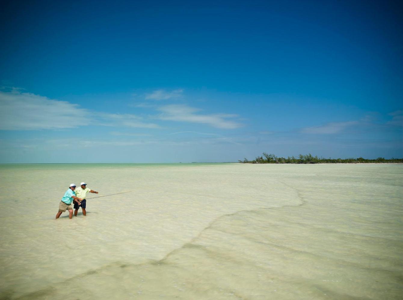 Costa De Cocos Otel Xcalak Dış mekan fotoğraf