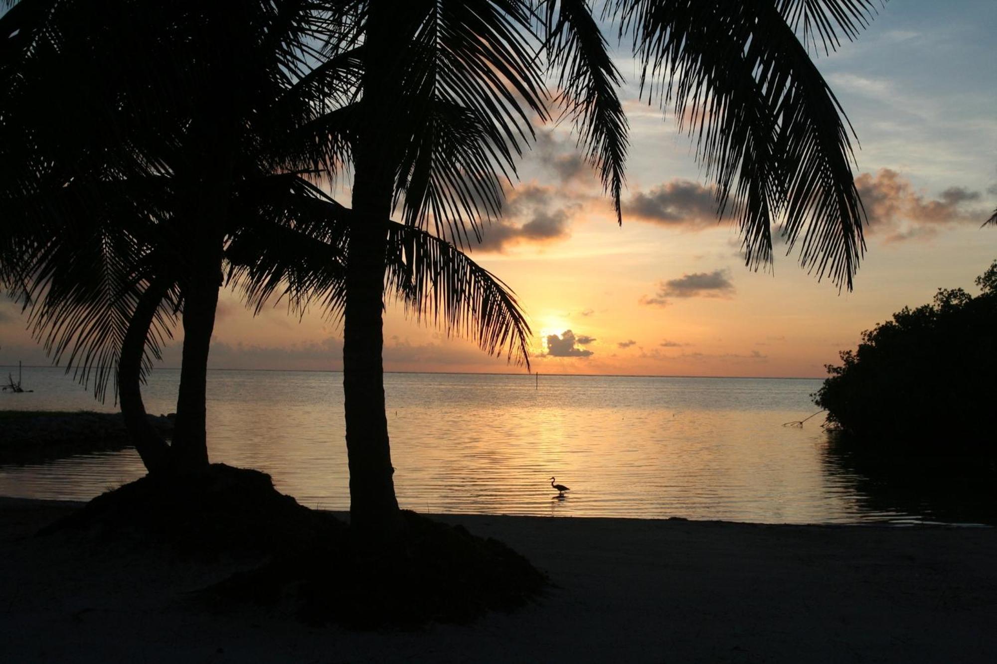 Costa De Cocos Otel Xcalak Dış mekan fotoğraf