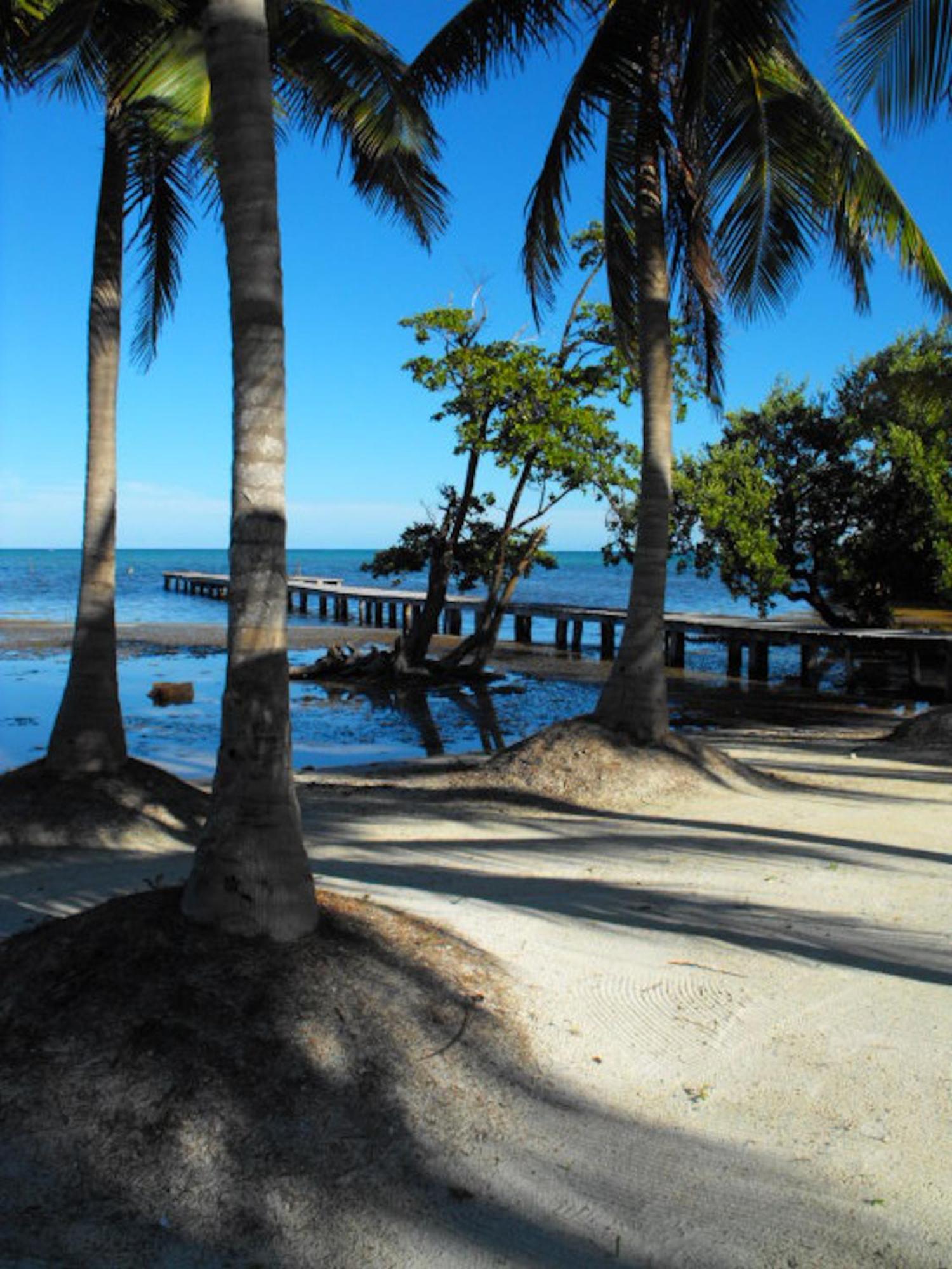 Costa De Cocos Otel Xcalak Dış mekan fotoğraf