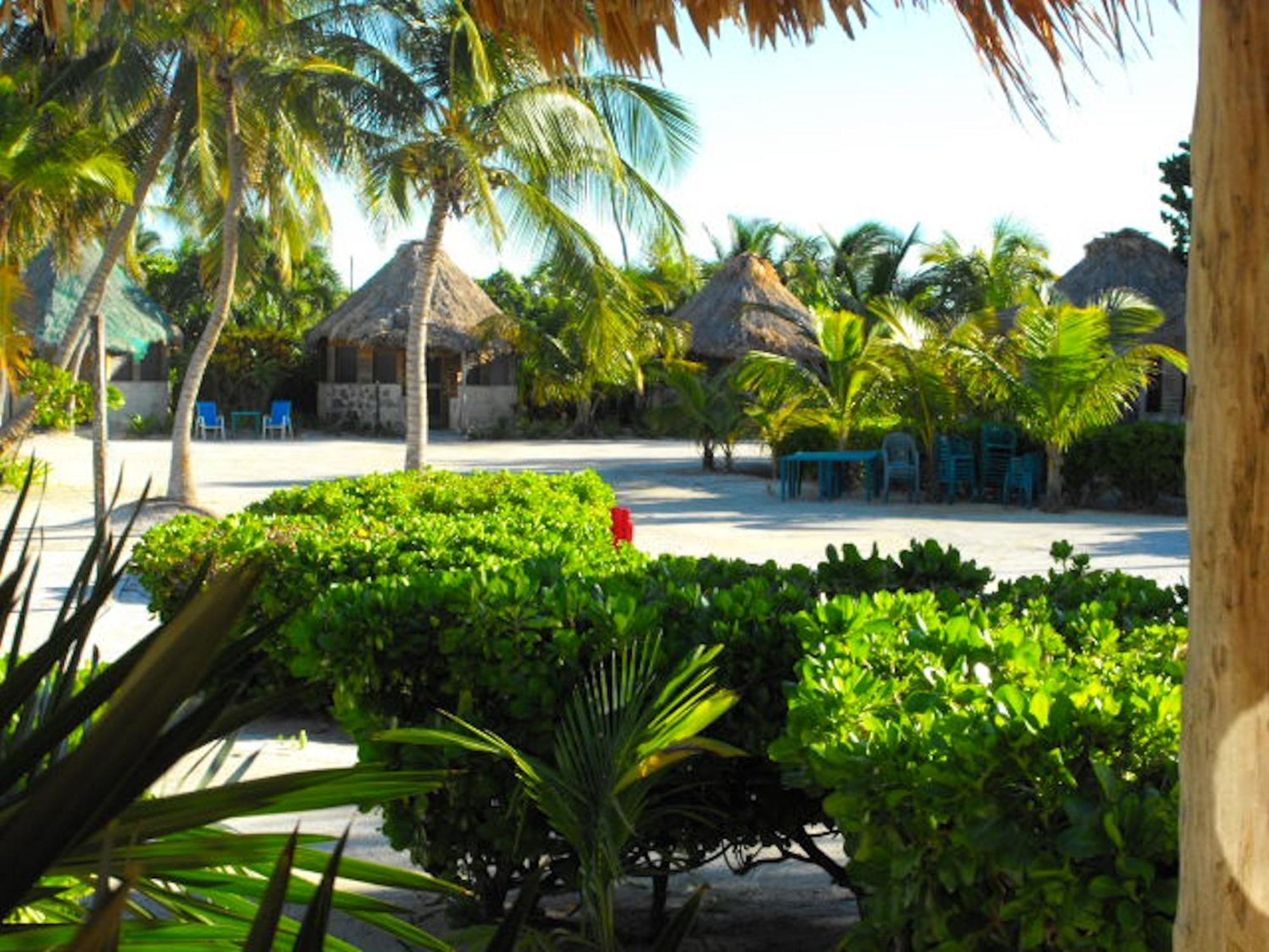 Costa De Cocos Otel Xcalak Dış mekan fotoğraf