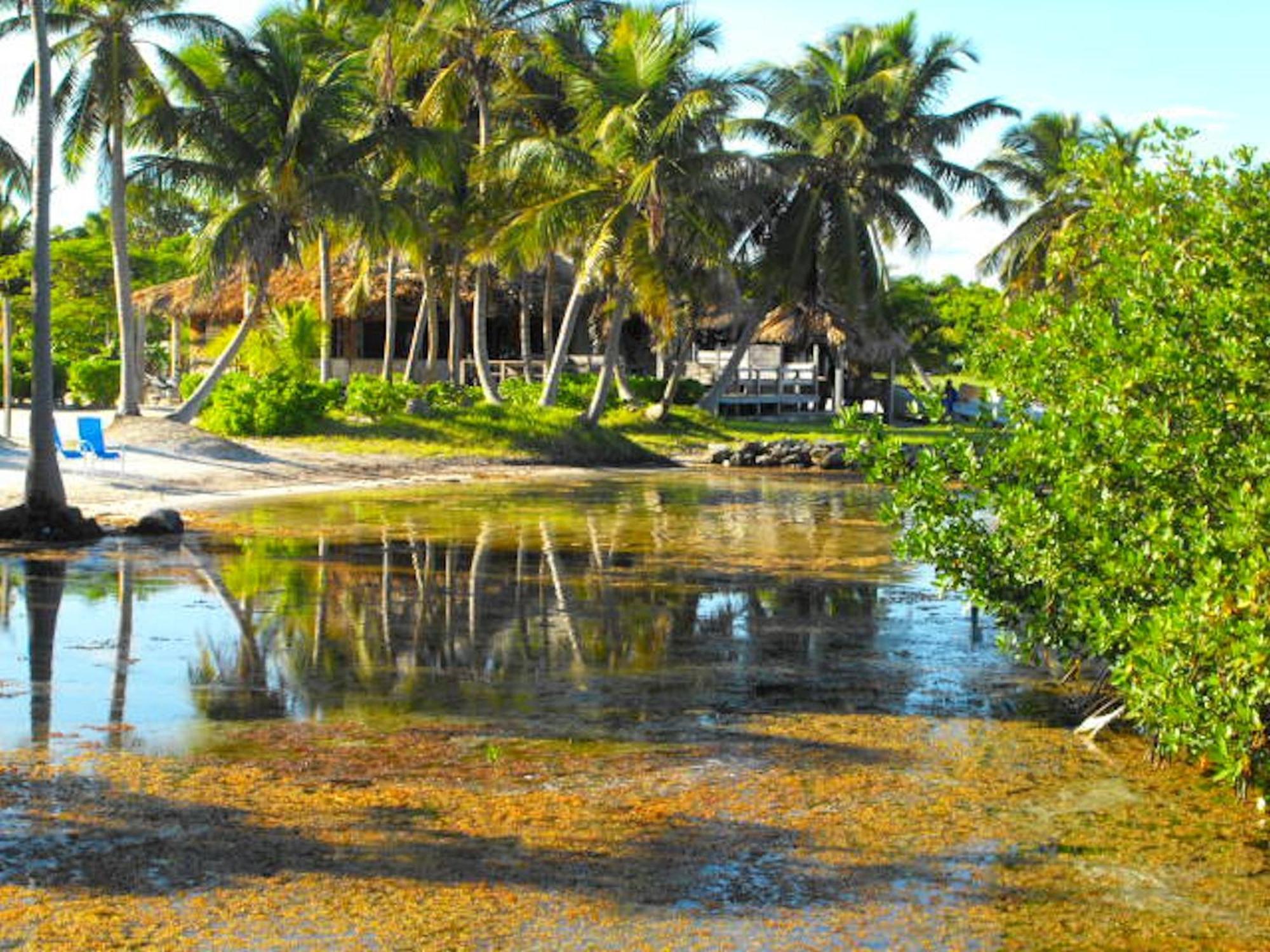 Costa De Cocos Otel Xcalak Dış mekan fotoğraf